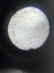 Mamiya Six Vintage Camera w/ Leather Shroud & Strap *Desc*